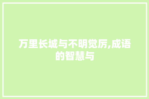 万里长城与不明觉厉,成语的智慧与