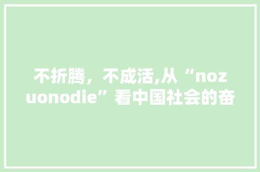 不折腾，不成活,从“nozuonodie”看中国社会的奋斗精神