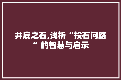 井底之石,浅析“投石问路”的智慧与启示