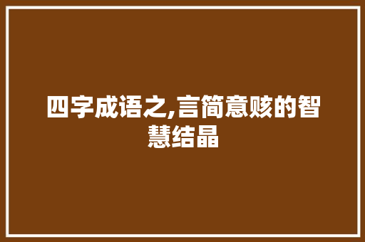 四字成语之,言简意赅的智慧结晶