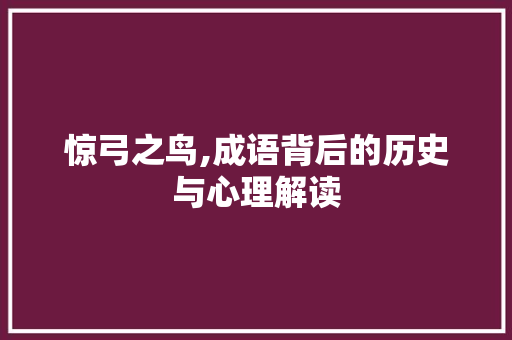 惊弓之鸟,成语背后的历史与心理解读