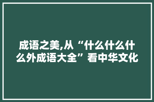 成语之美,从“什么什么什么外成语大全”看中华文化的瑰宝