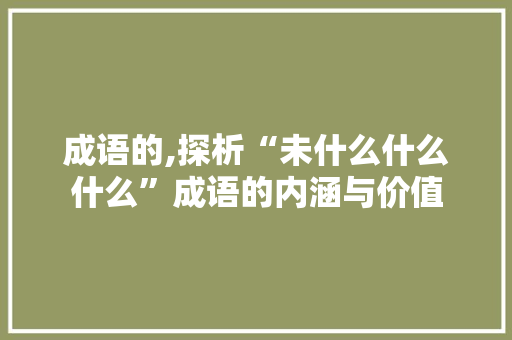 成语的,探析“未什么什么什么”成语的内涵与价值