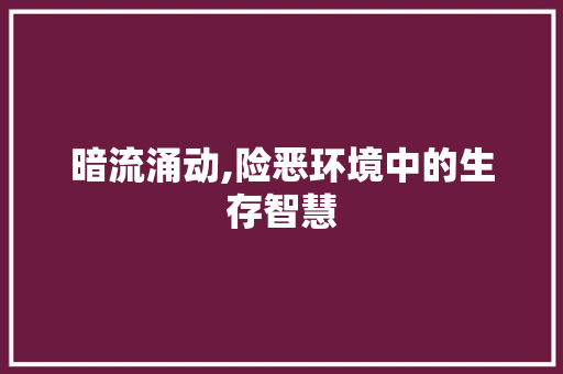 暗流涌动,险恶环境中的生存智慧