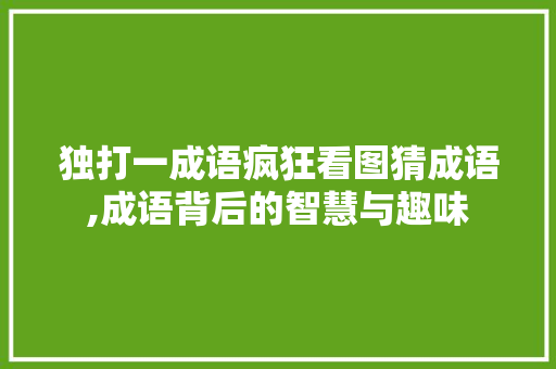 独打一成语疯狂看图猜成语,成语背后的智慧与趣味