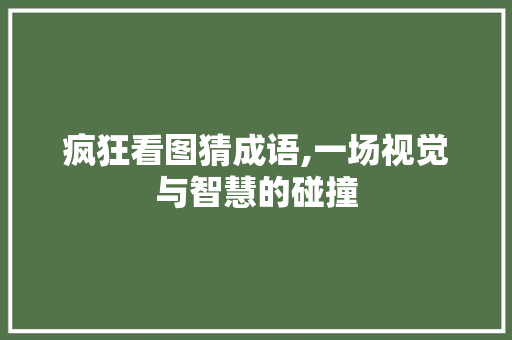 疯狂看图猜成语,一场视觉与智慧的碰撞