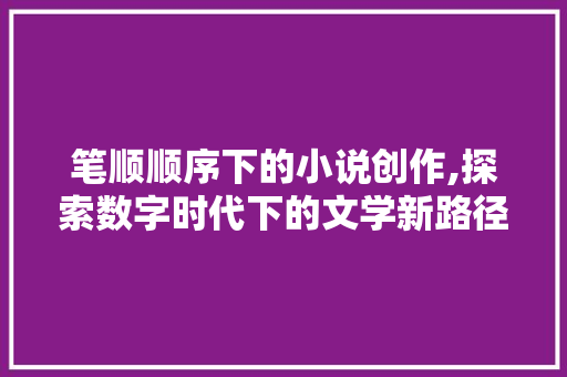 笔顺顺序下的小说创作,探索数字时代下的文学新路径