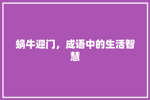 蜗牛迎门，成语中的生活智慧