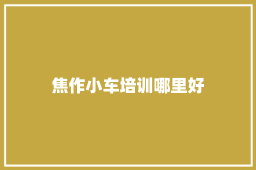 焦作小车培训哪里好