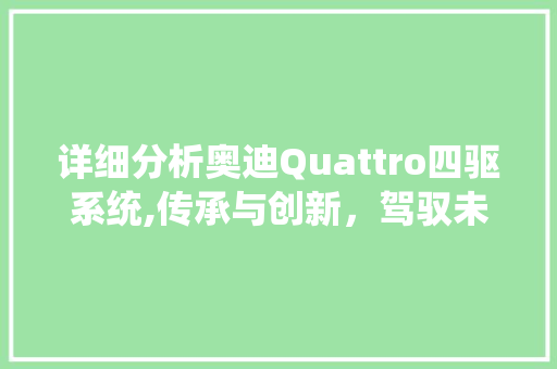 详细分析奥迪Quattro四驱系统,传承与创新，驾驭未来的力量