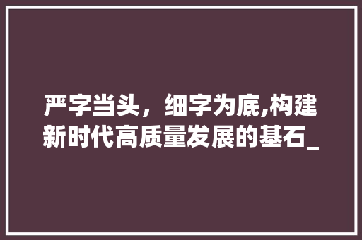 严字当头，细字为底,构建新时代高质量发展的基石_严字当头细字为底的意思 范文宝典