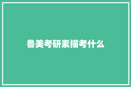 鲁美考研素描考什么