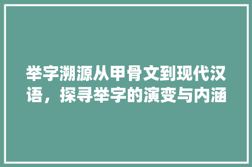 举字溯源从甲骨文到现代汉语，探寻举字的演变与内涵_举字的本意是什么意思