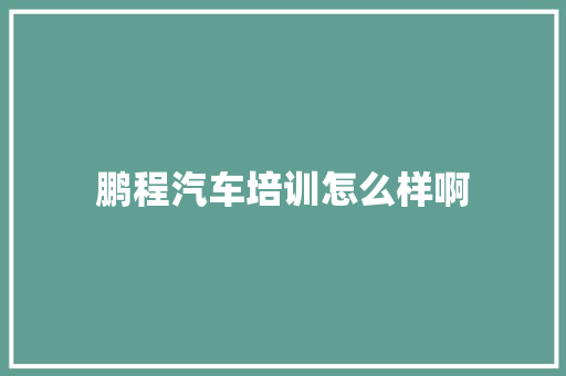 鹏程汽车培训怎么样啊