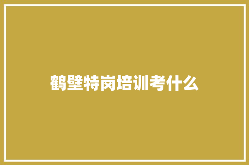 鹤壁特岗培训考什么