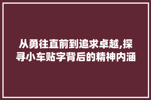 从勇往直前到追求卓越,探寻小车贴字背后的精神内涵_小车上的贴字是什么意思