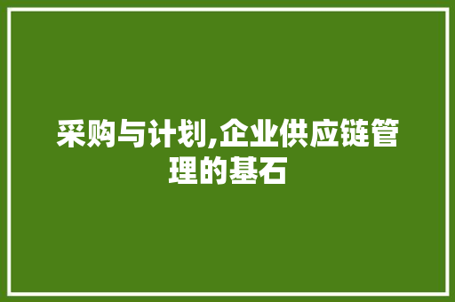 采购与计划,企业供应链管理的基石