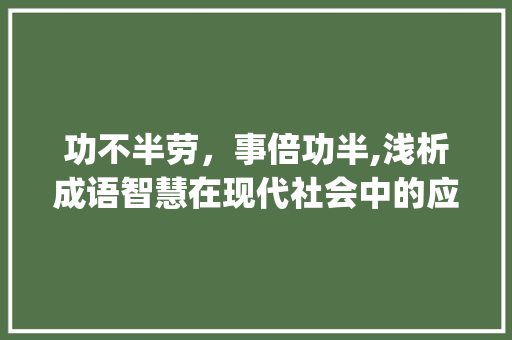 功不半劳，事倍功半,浅析成语智慧在现代社会中的应用_功不半劳的意思是什么字