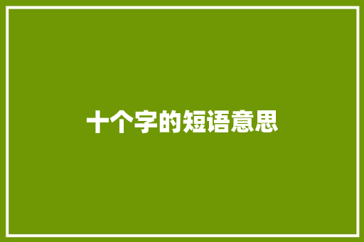 十个字的短语意思
