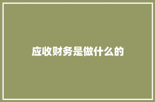 应收财务是做什么的