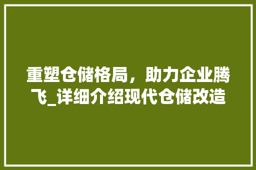 重塑仓储格局，助力企业腾飞_详细介绍现代仓储改造计划