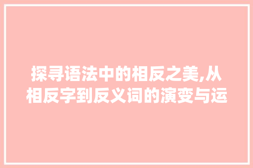 探寻语法中的相反之美,从相反字到反义词的演变与运用_语法相反的字是什么意思