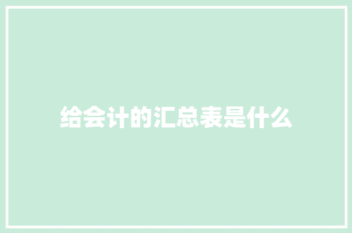 给会计的汇总表是什么
