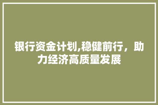 银行资金计划,稳健前行，助力经济高质量发展