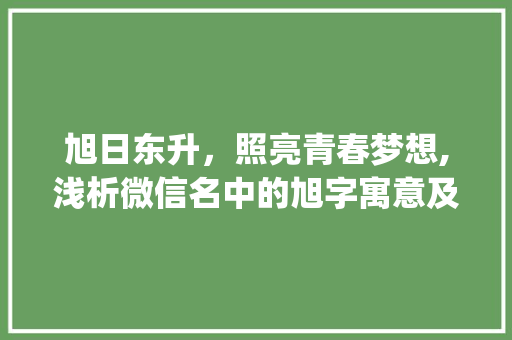 旭日东升，照亮青春梦想,浅析微信名中的旭字寓意及其文化内涵_女生微信名带旭字的意思
