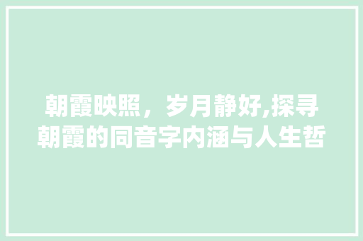 朝霞映照，岁月静好,探寻朝霞的同音字内涵与人生哲理_朝霞的同音字是什么意思