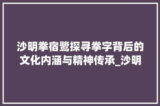沙明拳宿鹭探寻拳字背后的文化内涵与精神传承_沙明拳宿鹭的拳字的意思