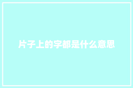 片子上的字都是什么意思