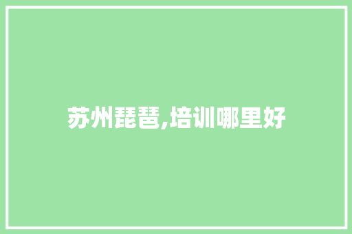 苏州琵琶,培训哪里好