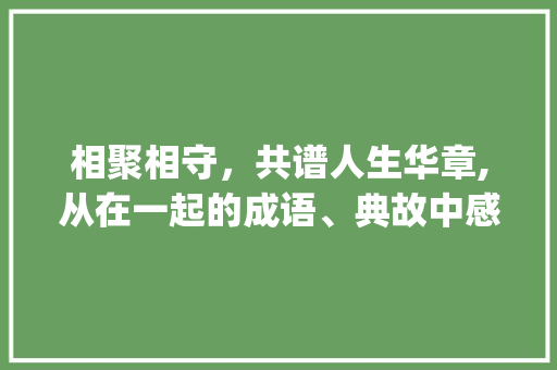 相聚相守，共谱人生华章,从在一起的成语、典故中感悟人生哲理_哪些字代表在一起的意思
