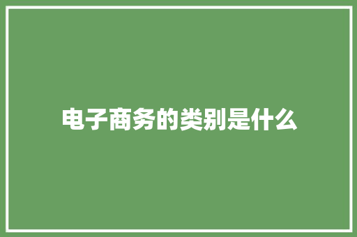 电子商务的类别是什么