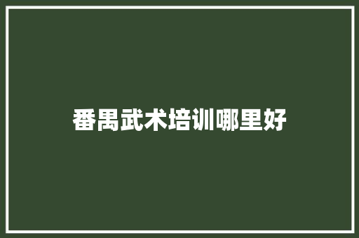番禺武术培训哪里好