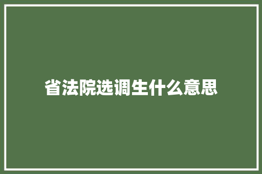 省法院选调生什么意思