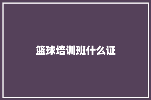 篮球培训班什么证