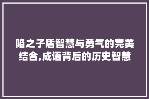 陷之子盾智慧与勇气的完美结合,成语背后的历史智慧_陷之子盾的字是什么意思