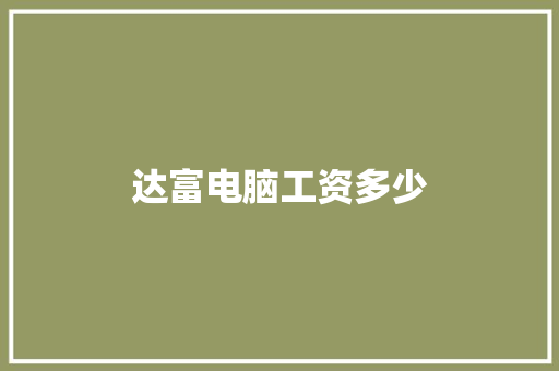 达富电脑工资多少