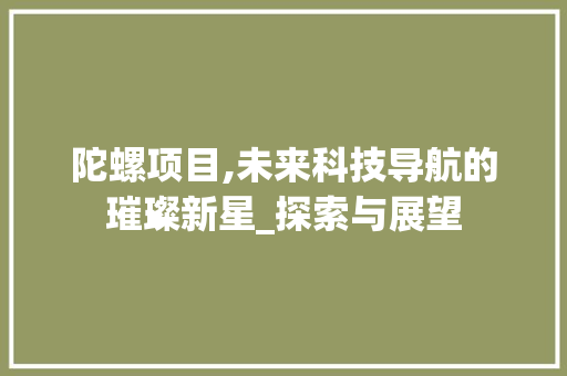 陀螺项目,未来科技导航的璀璨新星_探索与展望
