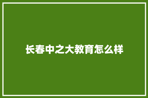 长春中之大教育怎么样