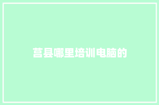 莒县哪里培训电脑的