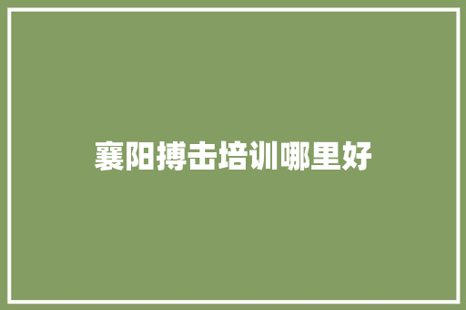 襄阳搏击培训哪里好
