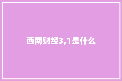 西南财经3,1是什么