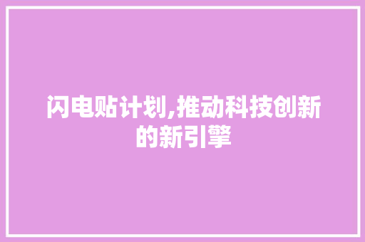 闪电贴计划,推动科技创新的新引擎