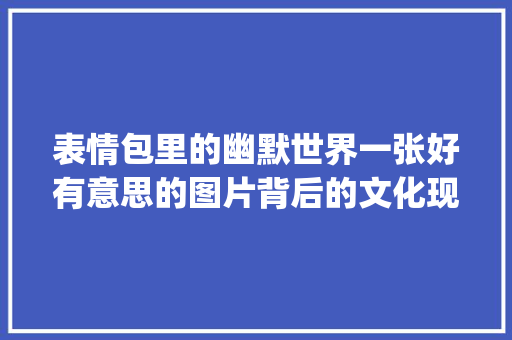 表情包里的幽默世界一张好有意思的图片背后的文化现象_表情好有意思的图片带字