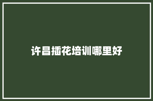 许昌插花培训哪里好
