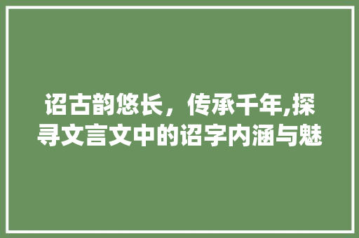 诏古韵悠长，传承千年,探寻文言文中的诏字内涵与魅力_诏字在文言文中的意思