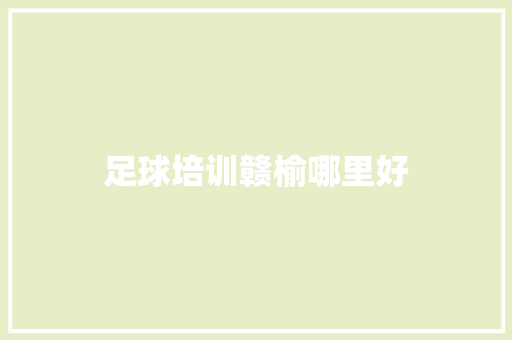 足球培训赣榆哪里好